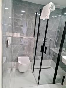 W łazience znajduje się toaleta i przeszklony prysznic. w obiekcie Pension Vltavín w Czeskim Krumlovie