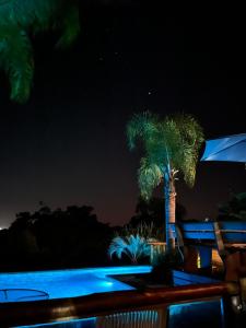 Una palmera se ilumina por la noche en Pousada Paraíso do Luz, en Barra de Ibiraquera