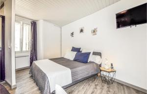 Katil atau katil-katil dalam bilik di 1 Bedroom Stunning Home In Bélesta +8 gambar