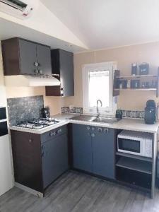 Kuchyň nebo kuchyňský kout v ubytování Mobil-Home Cosy Climatisé 3 chambres