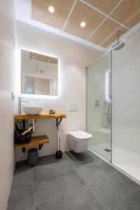 a bathroom with a sink and a toilet and a shower at Elegant Rooms Lasarte in Lasarte
