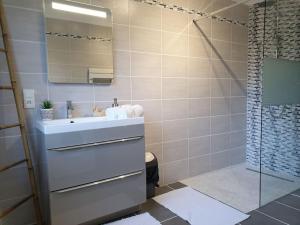 ein Bad mit einem Waschbecken, einem Spiegel und einer Dusche in der Unterkunft La petite ferlicaine 