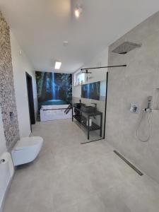 a bathroom with a shower and a sink and a toilet at Robson Beach I Sauna, Jacuzzi in Międzywodzie