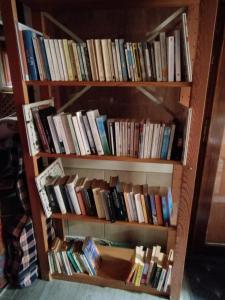Lohr的住宿－Le havre de grès，书架上堆满了书