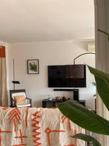 ein Wohnzimmer mit einem Sofa und einem Flachbild-TV in der Unterkunft Havre de paix Dax in Dax