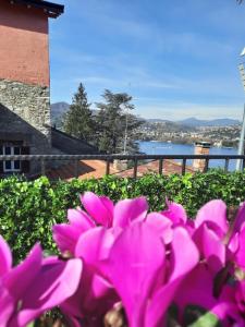 a group of pink flowers in front of a building at Luxury Room La Terrazza sul Lago di Como in Blevio