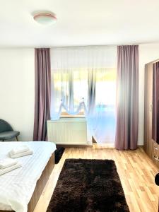 1 dormitorio con cama y ventana grande en Casa Ador, en Sinaia