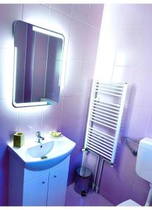 ein Badezimmer mit einem Waschbecken, einem Spiegel und einem WC in der Unterkunft Casa Ador in Sinaia