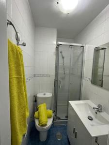 y baño con ducha, aseo y lavamanos. en Moderno apartamento junto al mar- Apartamentos Don Diego, en Torremolinos