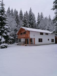 ein schneebedecktes Haus vor Bäumen in der Unterkunft Four Season Komando in Comandău