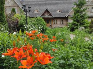 a garden with orange flowers in front of a house at Wejmutka, Białowieża in Białowieża