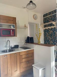 uma cozinha com um lavatório e um micro-ondas em Studio épicéa avec jardin dans charmante propriété em Méry-sur-Oise