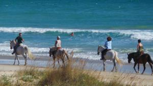a group of people riding horses on the beach at Arte Vida in Tarifa