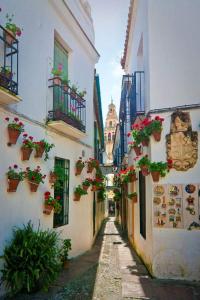an alley with potted plants on the side of buildings at Casa Juanma in Córdoba