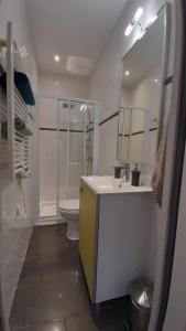 トゥールーズにあるCanal du Midiのバスルーム(洗面台、トイレ、鏡付)