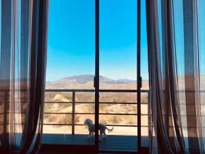 Фотография из галереи Cabaña Valzam 2 entre viñedos Rancho Tecate Resort в городе Текате