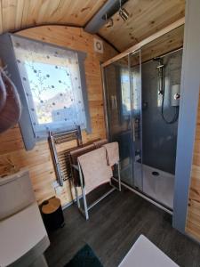 a small bathroom with a shower and a sink at Dalrigh Pod in Onich