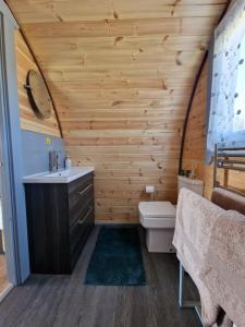 een badkamer met een wastafel en een toilet in een kamer bij Dalrigh Pod in Onich