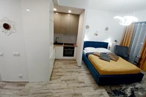 Kuchyň nebo kuchyňský kout v ubytování Hanza Tower AJP Lux Apartment