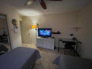 Heron's Sea Cottage with view of Space X and just minutes from South Padre Island的电视和/或娱乐中心