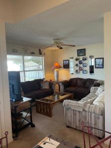 伊莎贝尔港Heron's Sea Cottage with view of Space X and just minutes from South Padre Island的带沙发和电视的客厅
