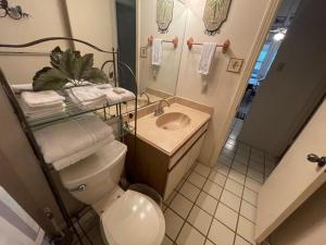 Heron's Sea Cottage with view of Space X and just minutes from South Padre Island的一间浴室