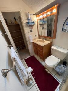 Heron's Sea Cottage with view of Space X and just minutes from South Padre Island的一间浴室