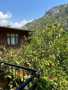 a house with a staircase in front of a mountain at Oran Ağaç Bungalovs in Kemer