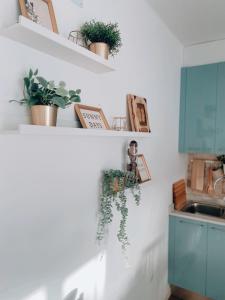 una cocina con plantas en estanterías y un fregadero en Casa Rosalia Puerto del Carmen en Puerto del Carmen