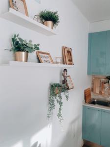 a kitchen with plants on shelves and a sink at Casa Rosalia Puerto del Carmen in Puerto del Carmen +26 photos