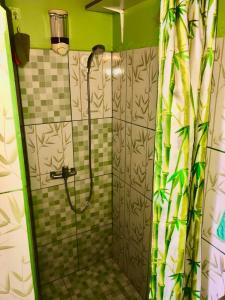 a shower with a glass door in a bathroom at Maison de 2 chambres avec vue sur la mer spa et jardin clos a Le Robert a 6 km de la plage in Le Robert