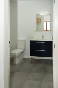 a bathroom with a toilet and a sink at Quinta de Sobre a Fonte Charming Apartments in Fontelas