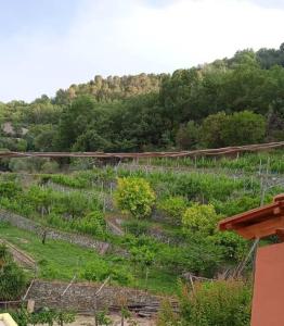 uitzicht op een tuin met bomen en treinrails bij Casa Ninetta, tra mare e natura. in Finale Ligure