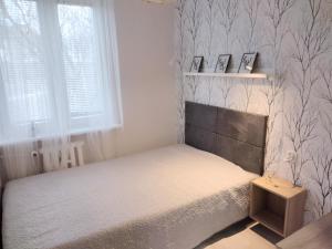 Fotografia z galérie ubytovania Apartament Centrum Śródmieście v destinácii Olsztyn