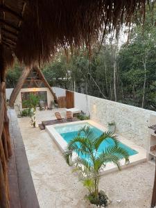 a swimming pool in the middle of a yard at Lodge Tzunum Jade in Tulum