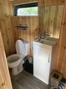 a small bathroom with a toilet and a sink at Bus and the lodge With space and views in Bladon