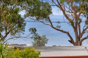 Bilde i galleriet til Mouzel i Wye River