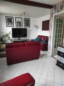 ein Wohnzimmer mit einem roten Sofa und einem TV in der Unterkunft Maison de village avec exterieur in Oysonville