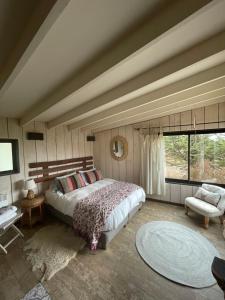 a bedroom with a bed and a chair and a window at Punta Ballena Lodge in Pichilemu