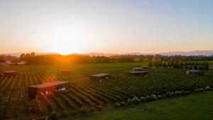 a farm with a sunset in the middle of a field at Vibo Wine Lodge At Viu Manent in Santa Cruz