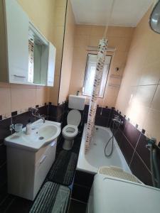 a bathroom with a toilet and a sink and a tub at Green House Pejovic in Podgorica