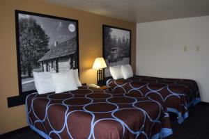 um quarto de hotel com uma cama num quarto em AmeriVu Inn and Suites Shawano WI em Shawano