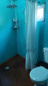 y baño azul con ducha y aseo. en Monoambiente Elegante en Los Hornillos