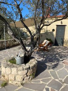 a tree in a stone planter in front of a building at Kontos Village House in Kondós