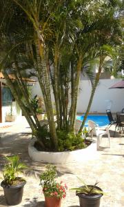 a courtyard with palm trees and chairs and a pool at Pousada Cavalo Branco in Cabo Frio