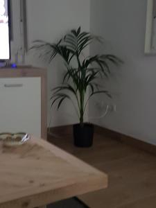 Kép Casa Campaña szállásáról Muxiában a galériában