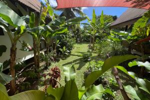 Gallery image of Auti studio direct access to the beach on Moorea with AC -WiFi - Netflix in Haapiti