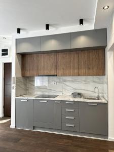 a kitchen with gray cabinets and a sink at DREAM apartments in Niš