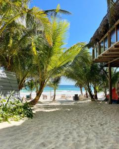 uma praia com palmeiras e o oceano em Chavez Eco Beach Camping and Cabañas em Tulum