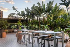 Zahrada ubytování AC Hotel Valencia by Marriott